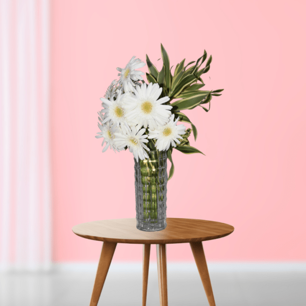 White Gerbera - Flower Subscription in Hyderabad