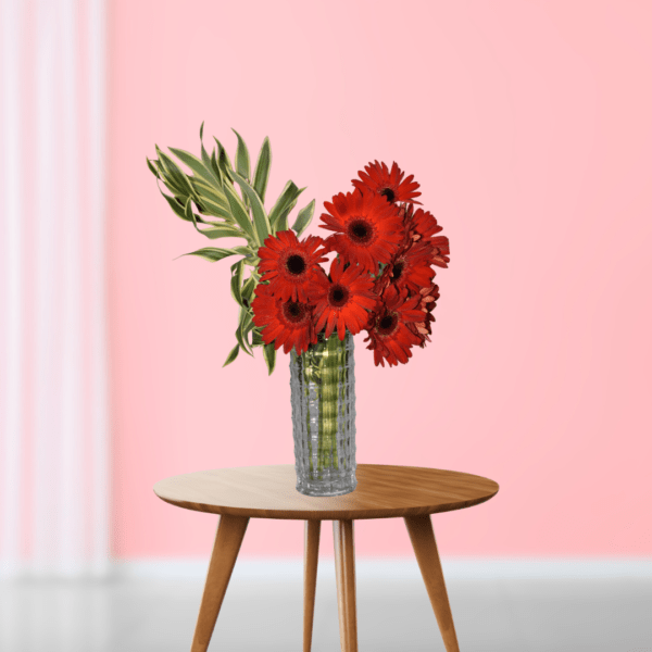 Red Gerbera Flower Subscription