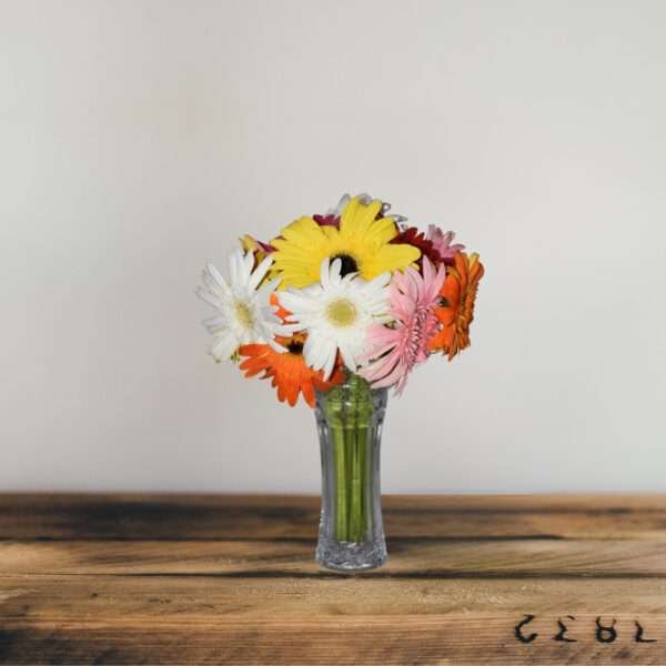 Mixed collection of colourful Gerbera flowers of different colours such as Yellow, White, Pink, Orange, and Red.