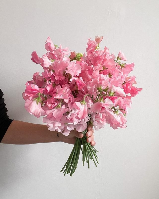 Sweet Pea Bridal Bouquet