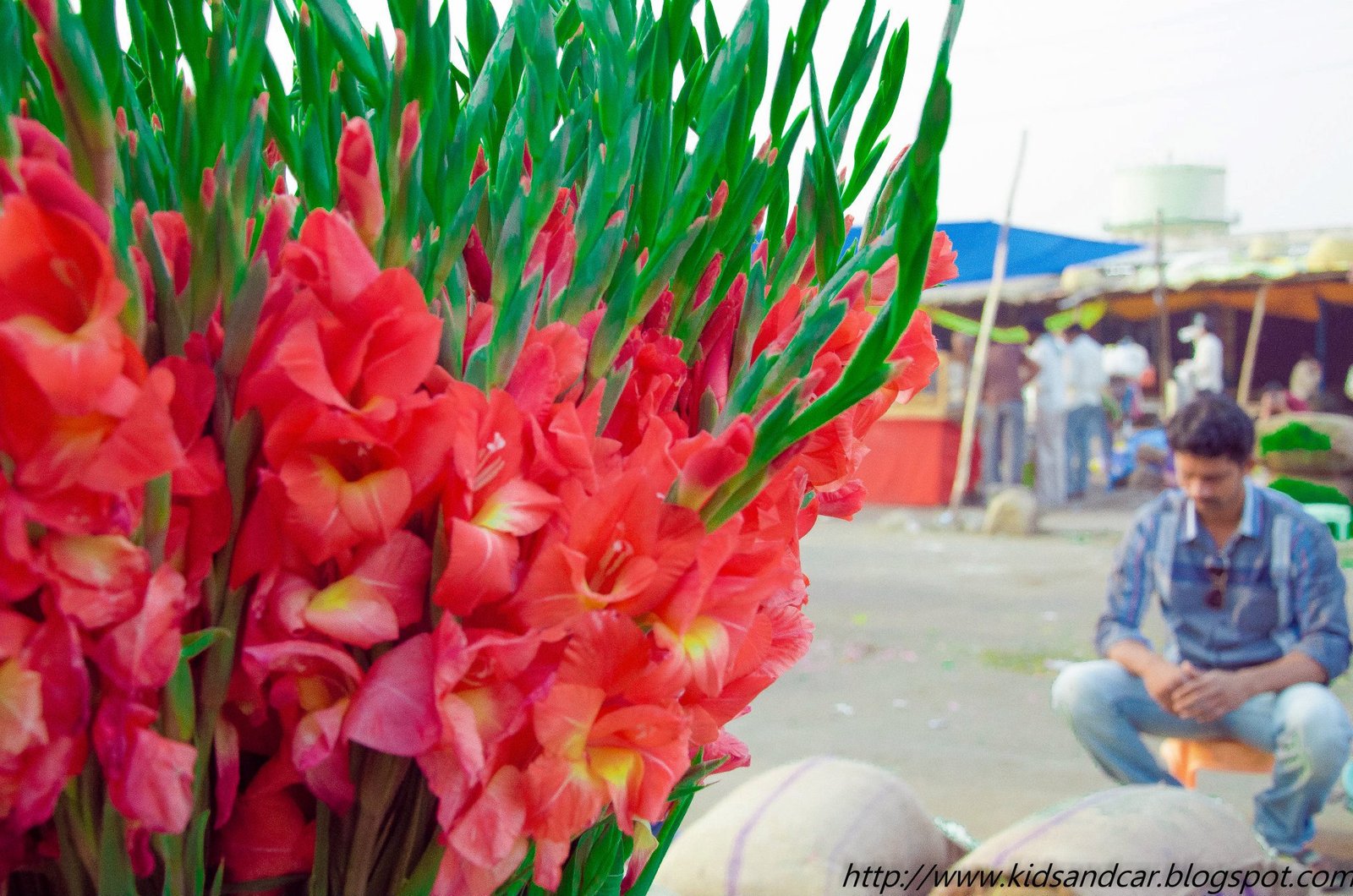 Gudimalkapur Flower Market