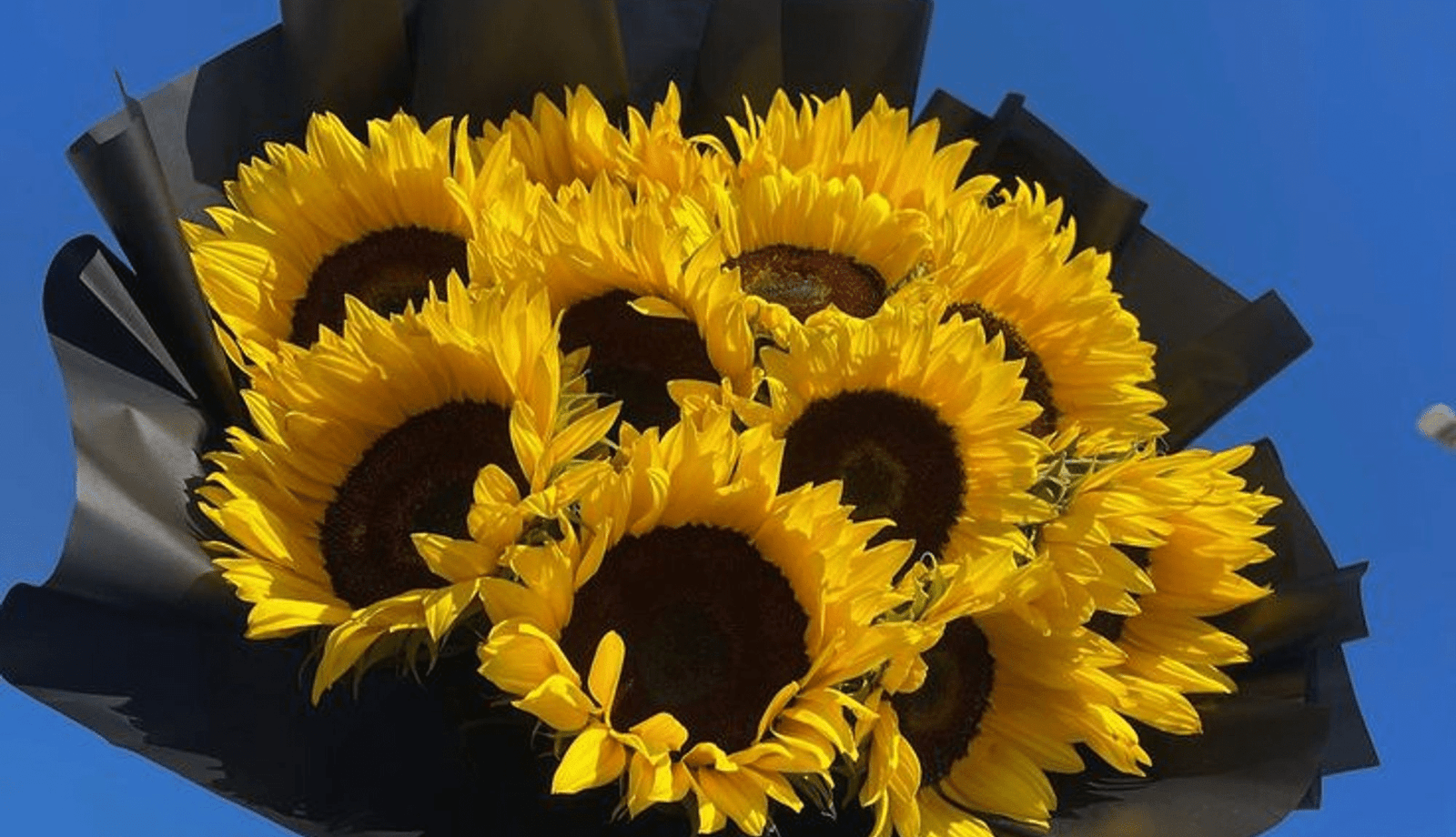 Yellow flowers for friendship day