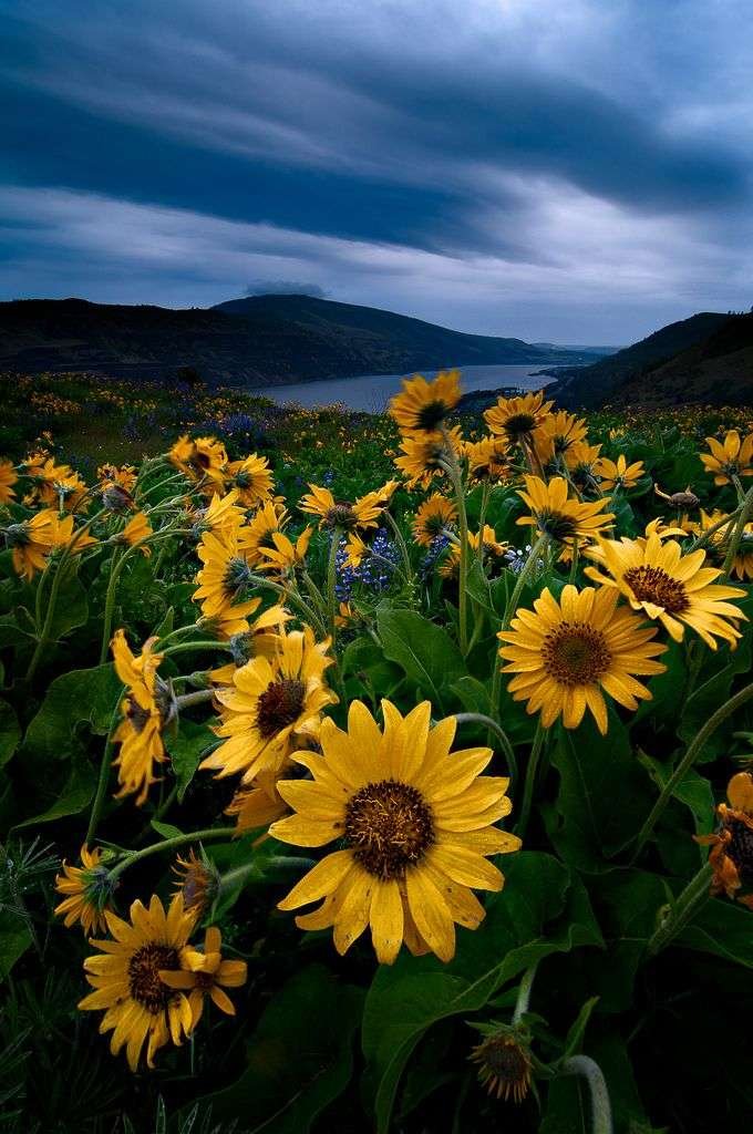 Photography in a cloudy day