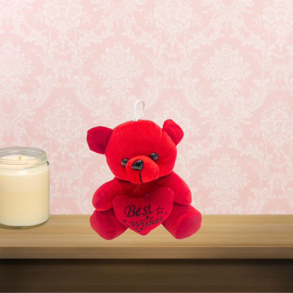 Red colour teddy bear