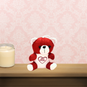 Red Teddy Bear