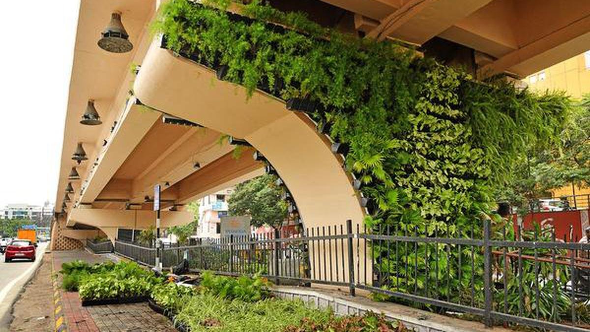 Vertical gardens in the city of Hyderabad