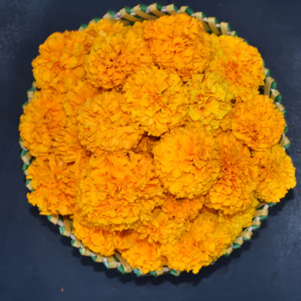 Fresh Saffron Marigold flower