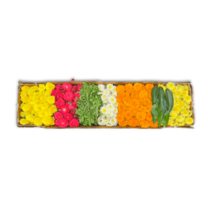 Flower Rangoli box with a choice of 7 colours/flowers from orange and yellow marigold, red, orange and pink roses, white chamanti, Holy basil leaves, and Mango leaves.