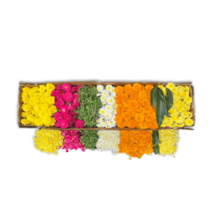 Flower Rangoli box with a choice of 7 colours/flowers from orange and yellow marigold, red, orange and pink roses, white chamanti, Holy basil leaves, and Mango leaves.