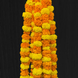 Marigold String