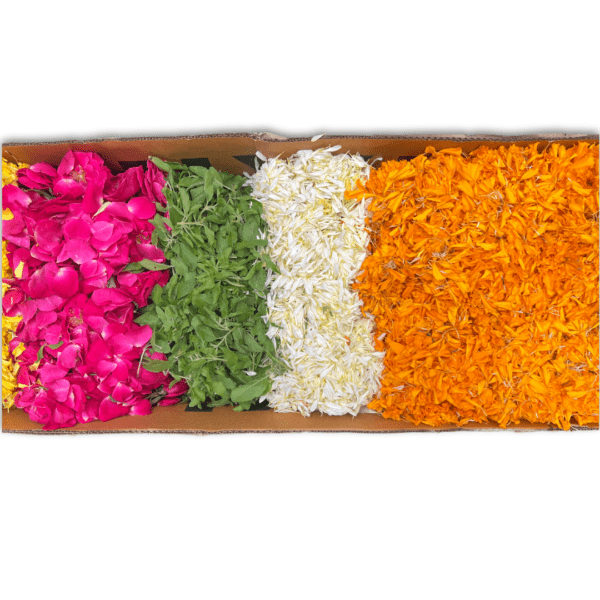 Flower Rangoli box with a choice of 6 colours/flowers from orange and yellow marigold, red, orange and pink roses, white chamanti, Holy basil leaves, and Mango leaves.