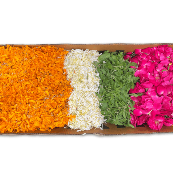 Flower Rangoli box with a choice of 7 colours/flowers from orange and yellow marigold, red, orange and pink roses, white chamanti, Holy basil leaves, and Mango leaves.