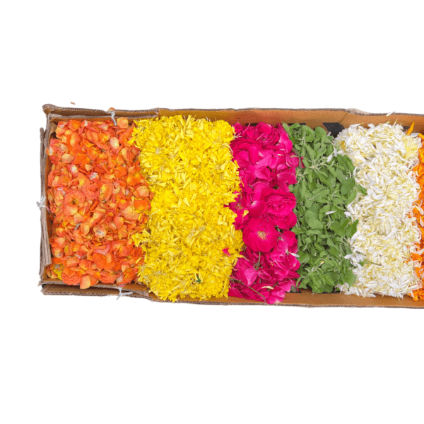 Flower Rangoli box with 8 colours - orange and yellow marigold, red, orange and pink roses, white chamanti, Holy basil leaves, and Mango leaves.