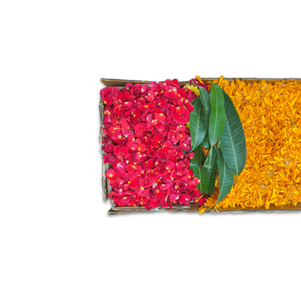 Flower Rangoli box with a choice of 6 colours/flowers from orange and yellow marigold, red, orange and pink roses, white chamanti, Holy basil leaves, and Mango leaves.