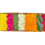 Flower Rangoli box with 8 colours - orange and yellow marigold, red, orange and pink roses, white chamanti, Holy basil leaves, and Mango leaves.