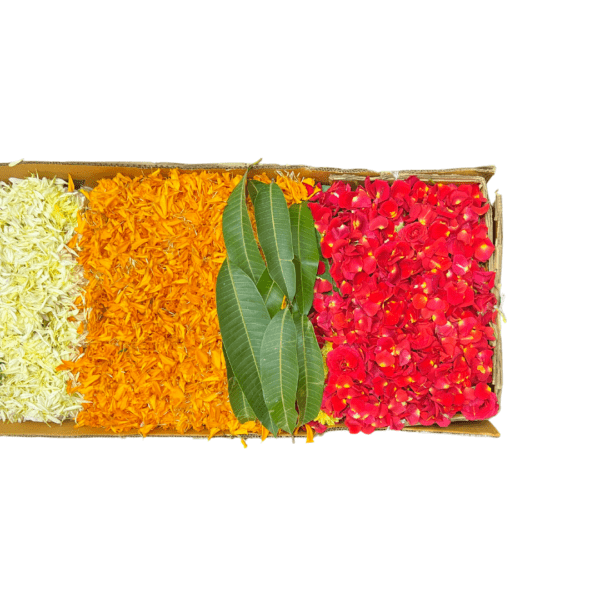 Flower Rangoli box with 8 colours - orange and yellow marigold, red, orange and pink roses, white chamanti, Holy basil leaves, and Mango leaves.