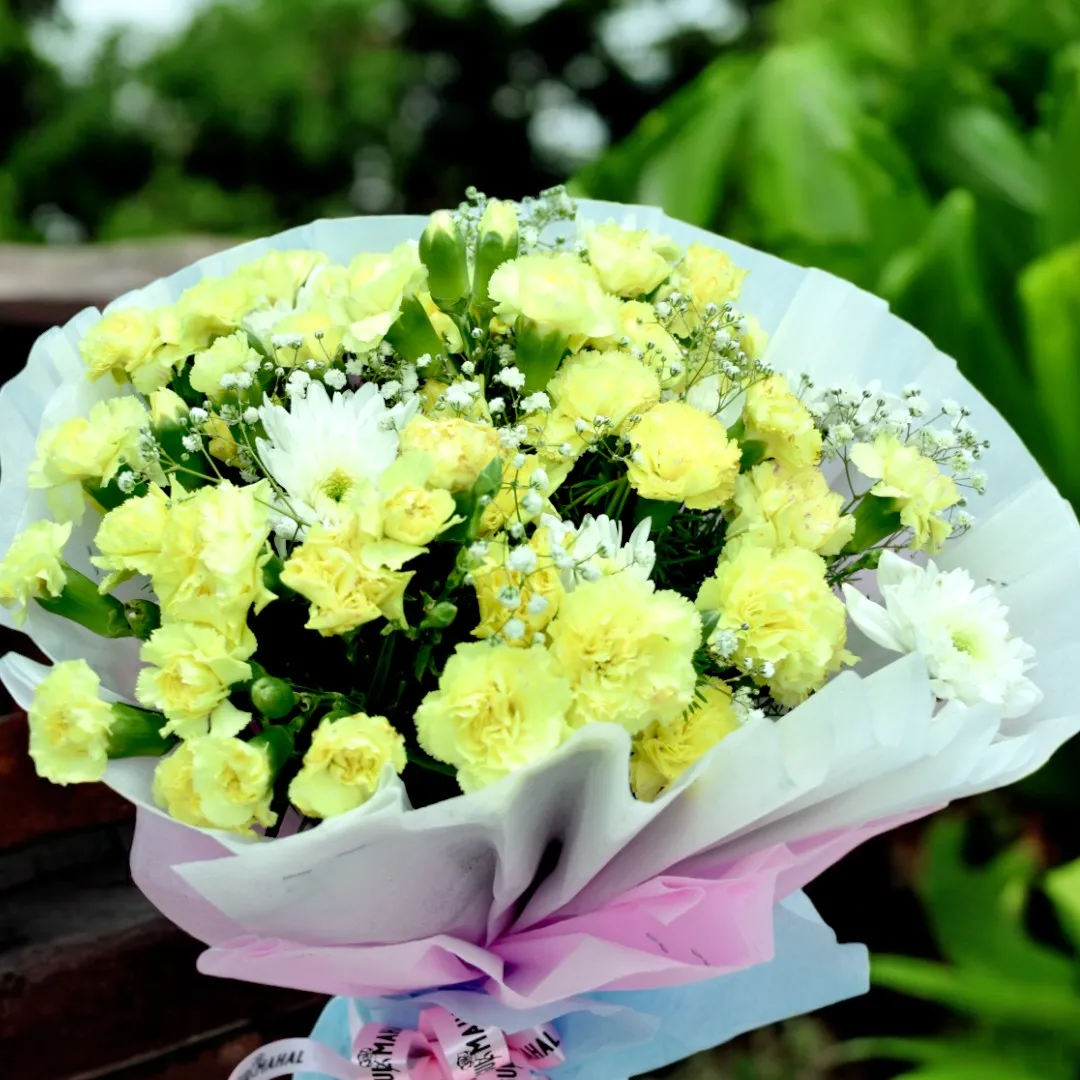 Buy Carnation bouquet