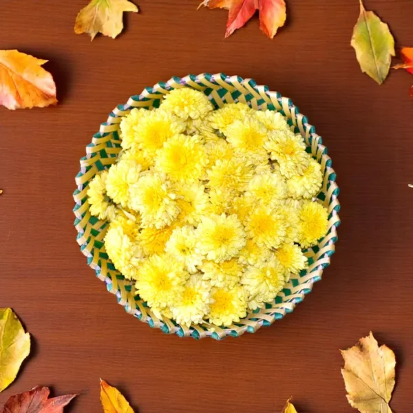 Fresh Loose Yellow chrysanthemum Flowers - Chamanti - Samandi - Guldaudi - Shevanti - Sevanti