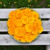 Orange Marigold Flowers
