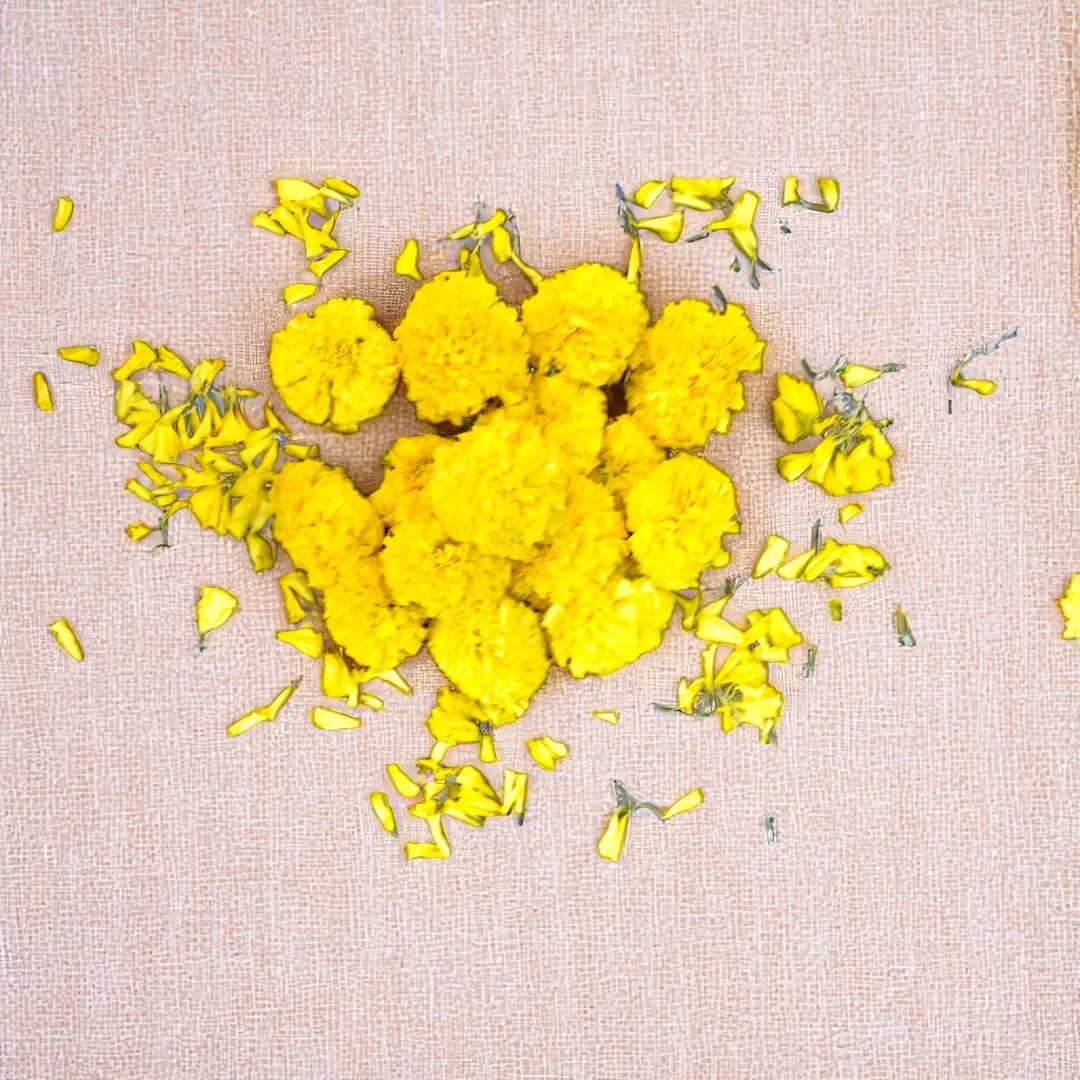Fresh Yellow Marigold - Genda Phool - Banti Flowers