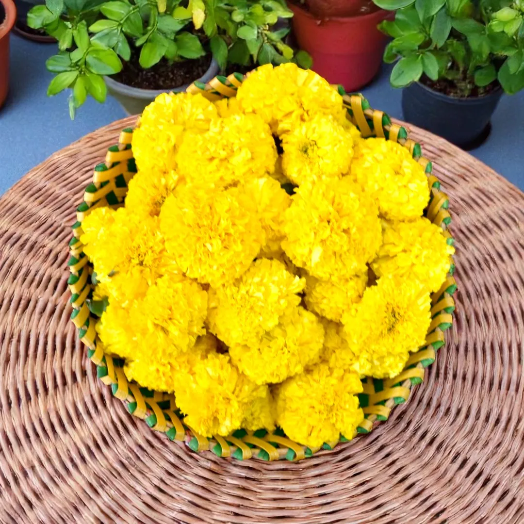 Fresh Yellow Marigold - Genda Phool - Banti Flowers