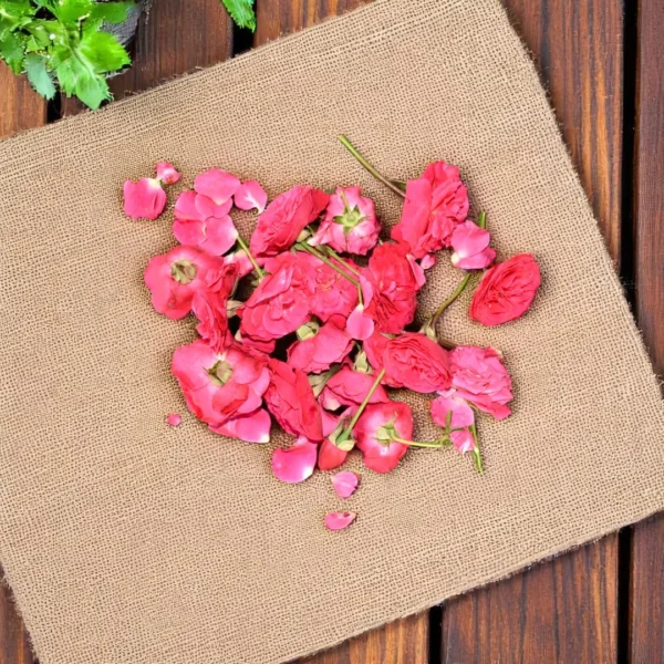 Buy Rose flowers - Gulab - roja online at best prices across India on Gulmahal
