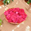Pink Rose Flowers