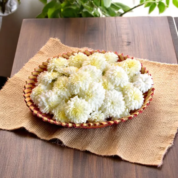 White loose chrysanthemum Flowers - Chamanti - Samandi - Guldaudi - Shevanti - Sevanthi