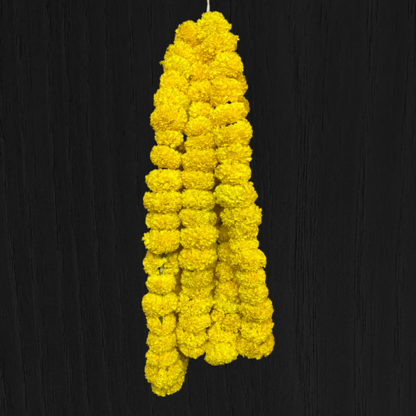 Yellow Marigold strings or jhelas for home decorations