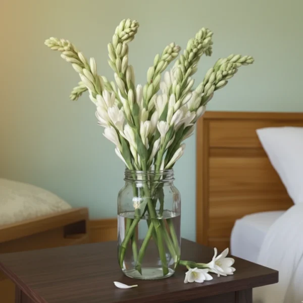 Tuberose - Rajnigandha flower