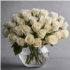 White Roses