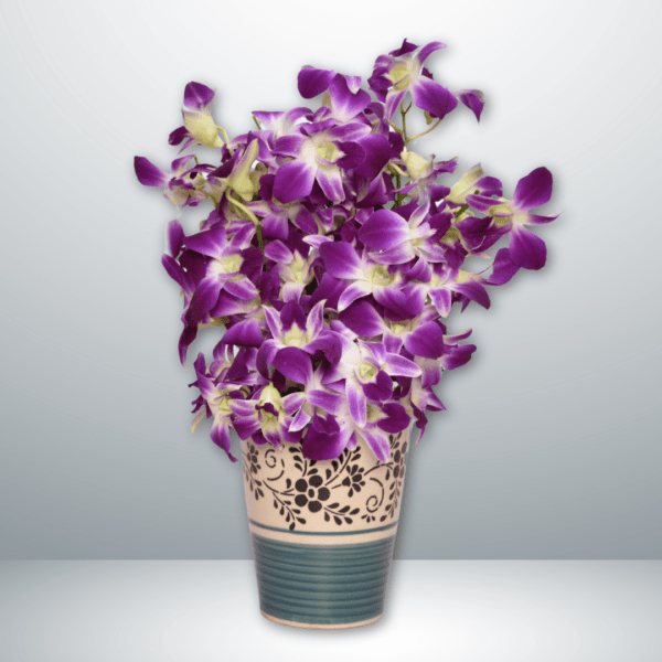 Purple Orchids