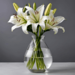 White Asiatic Lily