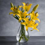 Yellow Asiatic Lily