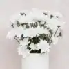 White Chrysanthemums