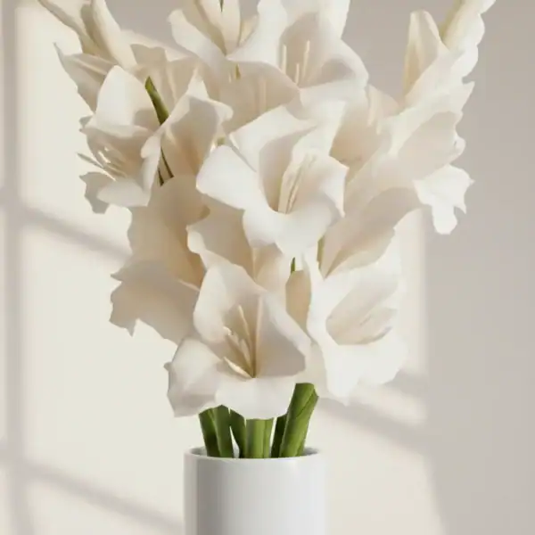 Beautiful White Gladiolus in a vase