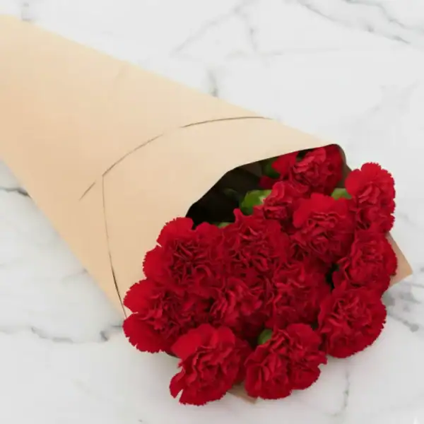 Beautiful bloomed Red Carnations