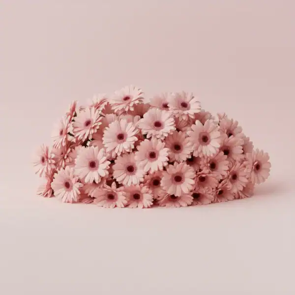 Bunch of Light Pink Gerbera Flowers