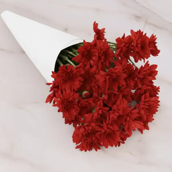 Bunch of Red Chrysanthemum flowers