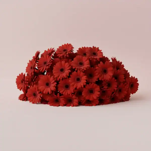 Bunch of Red Gerbera flowers