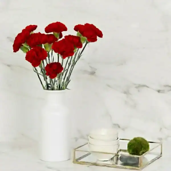Buy Red Carnations Online in Delhi, Hyderabad, Mumbai, Ahmedabad, Bangalore, Chennai, Pune, and other cities
