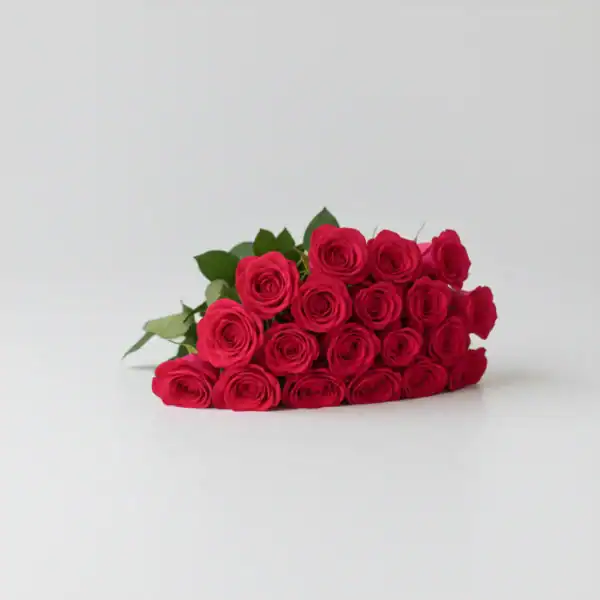 Dark Pink Roses on a table