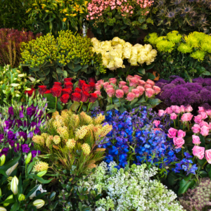 Flower bouquets in Hyderabad