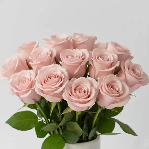 Light Pink Roses close up view