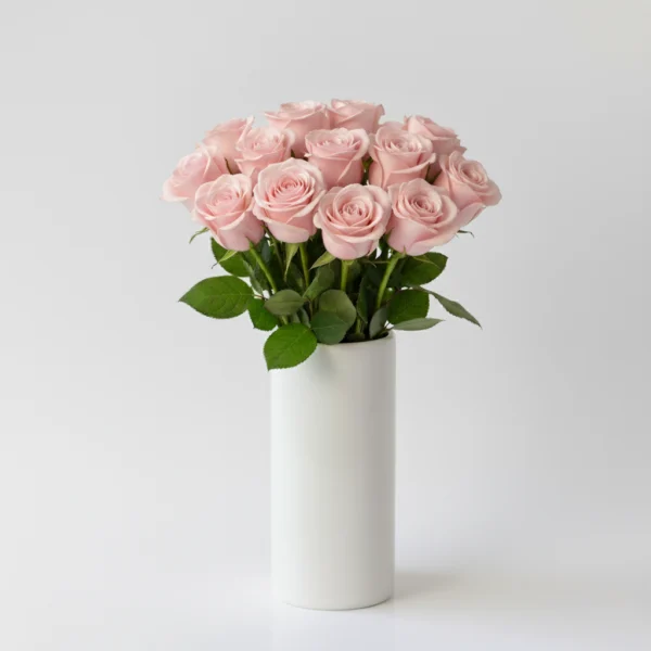 Light Pink Roses in a vase
