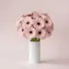 Light Pink Gerberas