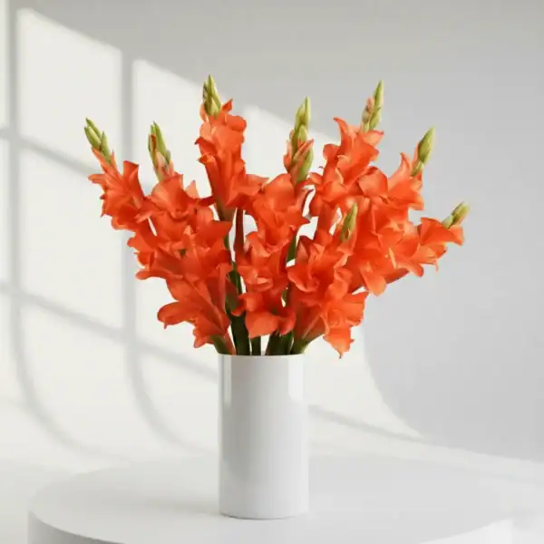 Orange Gladiolus in a vase