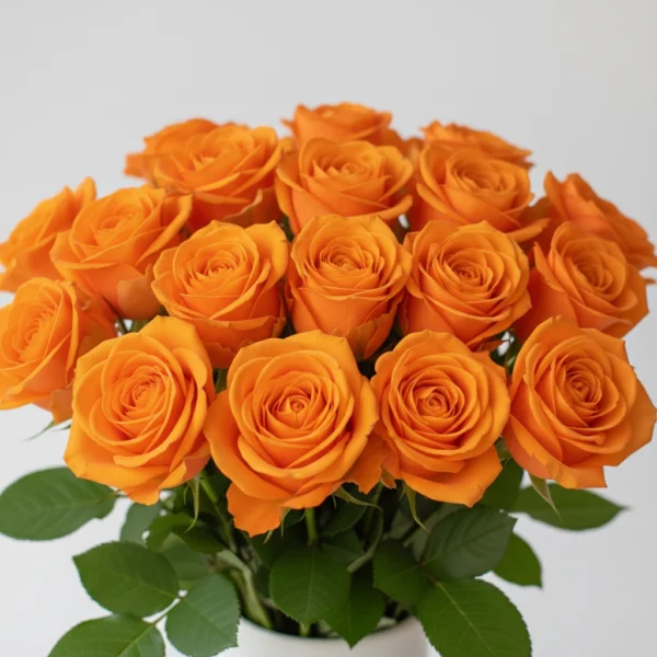 Orange Roses beautifully arranged in a vase
