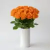 Orange Roses