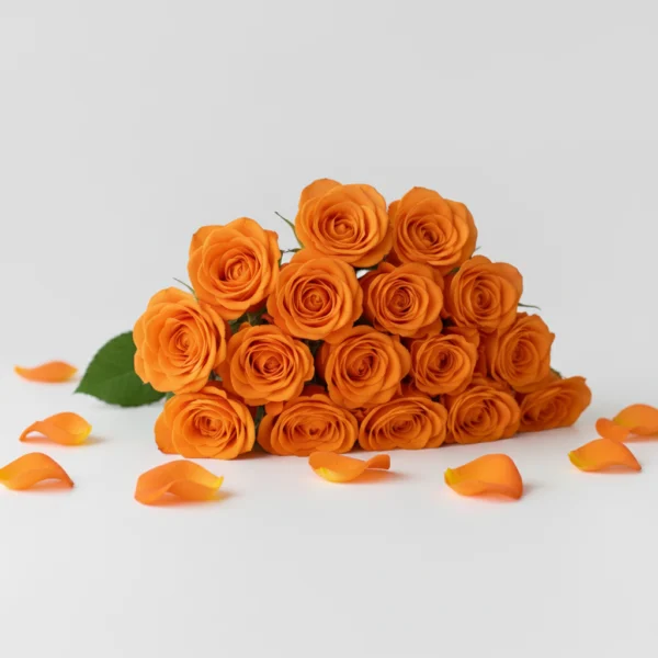 Orange Roses on a table